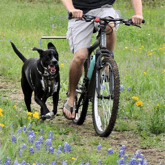 Bike Tow Leash - Weird Wembley's Leashes & Collars 