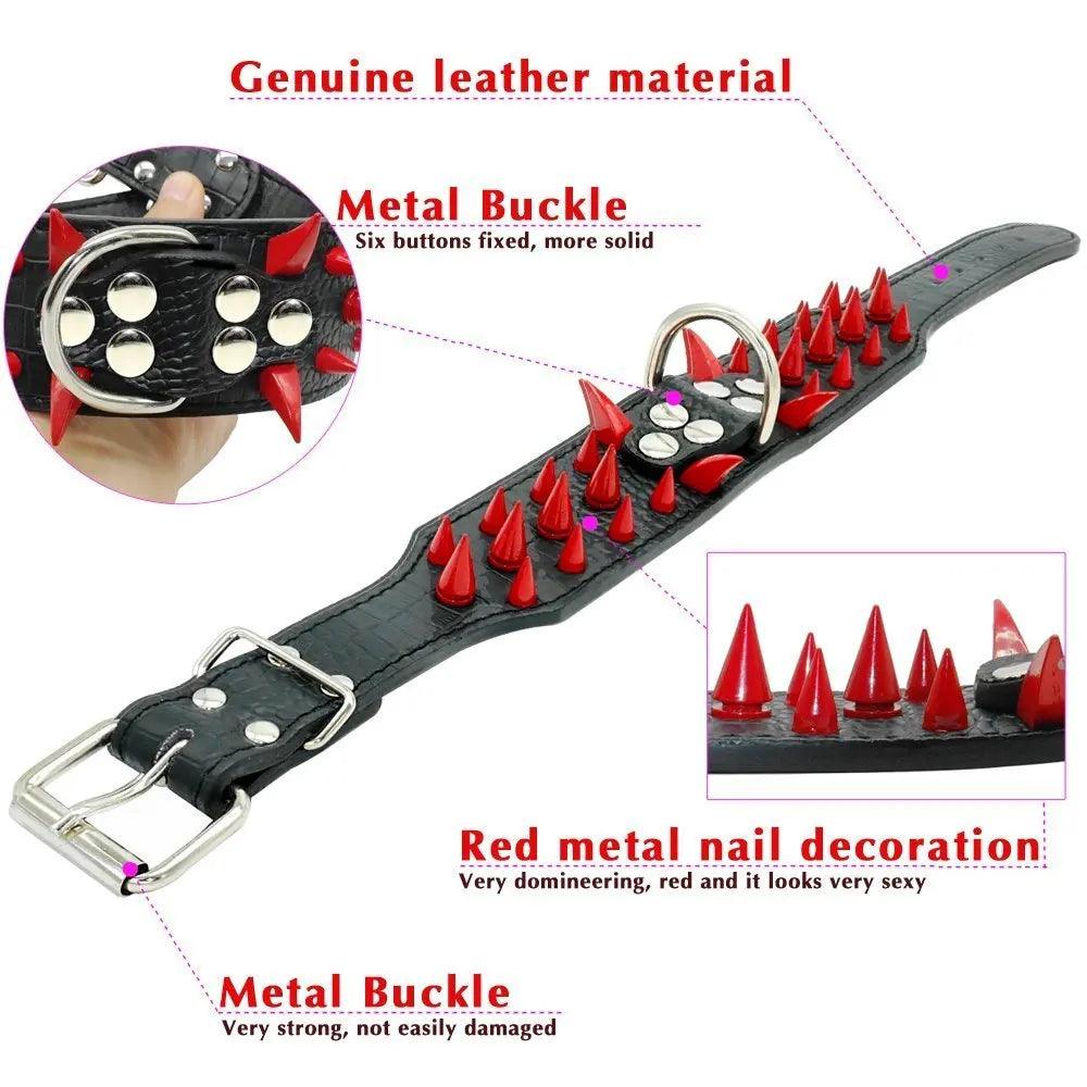 Spiked Studded Leather Dog Collars - Weird Wembley's Leashes & Collars 