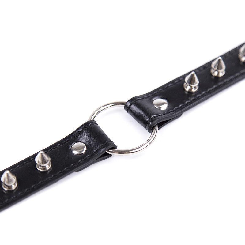 Spiked Dog Collar - Weird Wembley's Leashes & Collars 