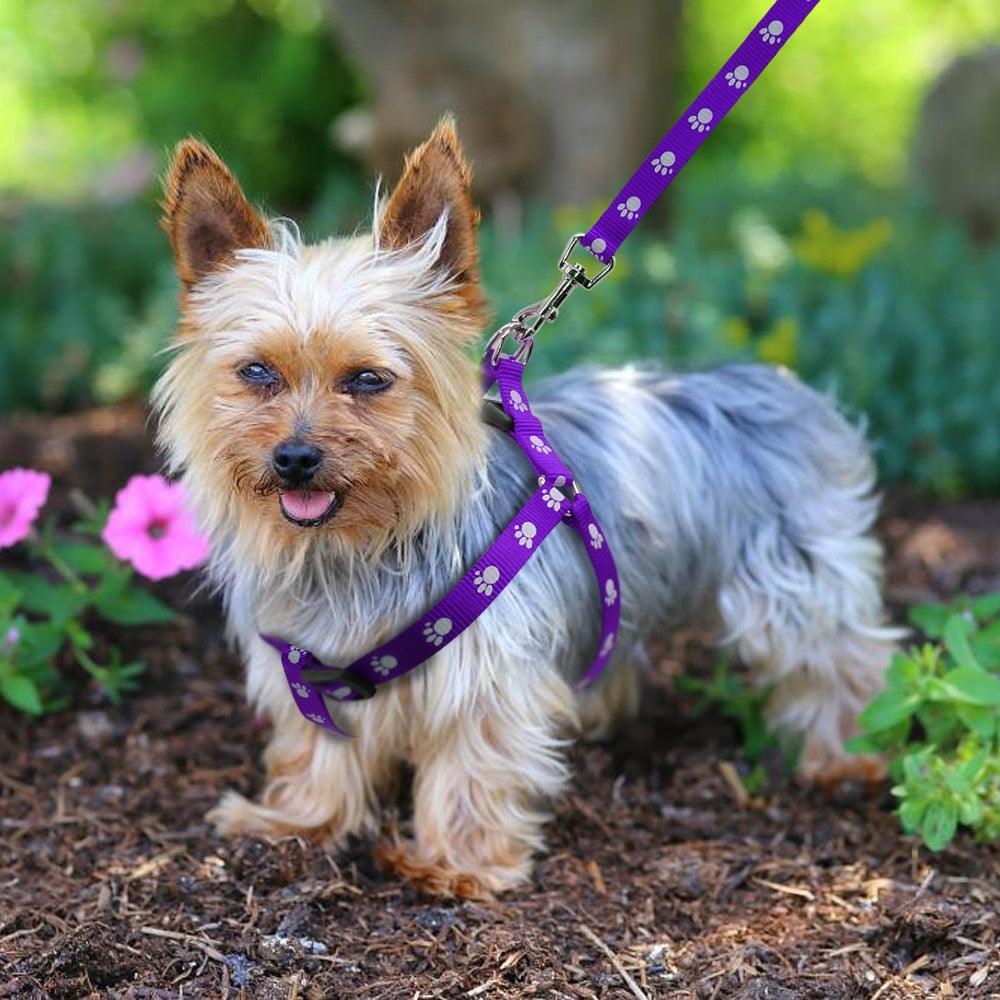 Printed dog leash - Weird Wembley's Leashes & Collars 