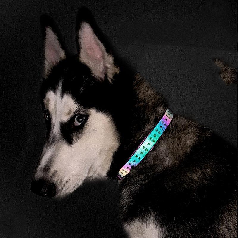 Holographic reflective dog leash - Weird Wembley's Leashes & Collars 