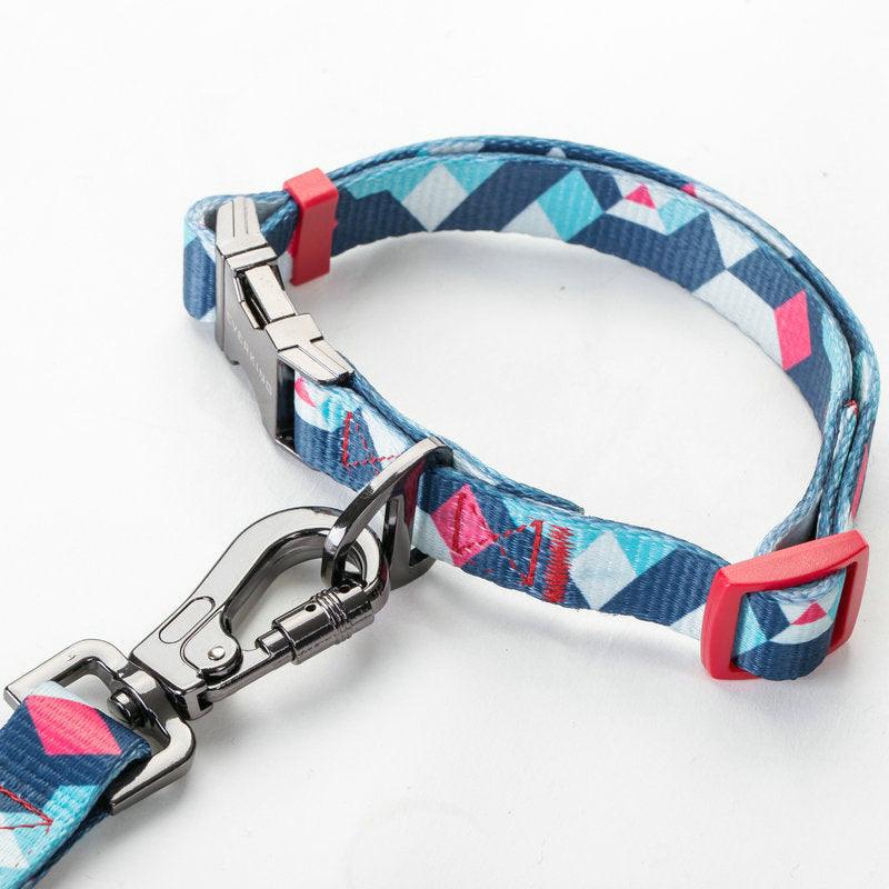 Pet supplies dog leash - Weird Wembley's Leashes & Collars 