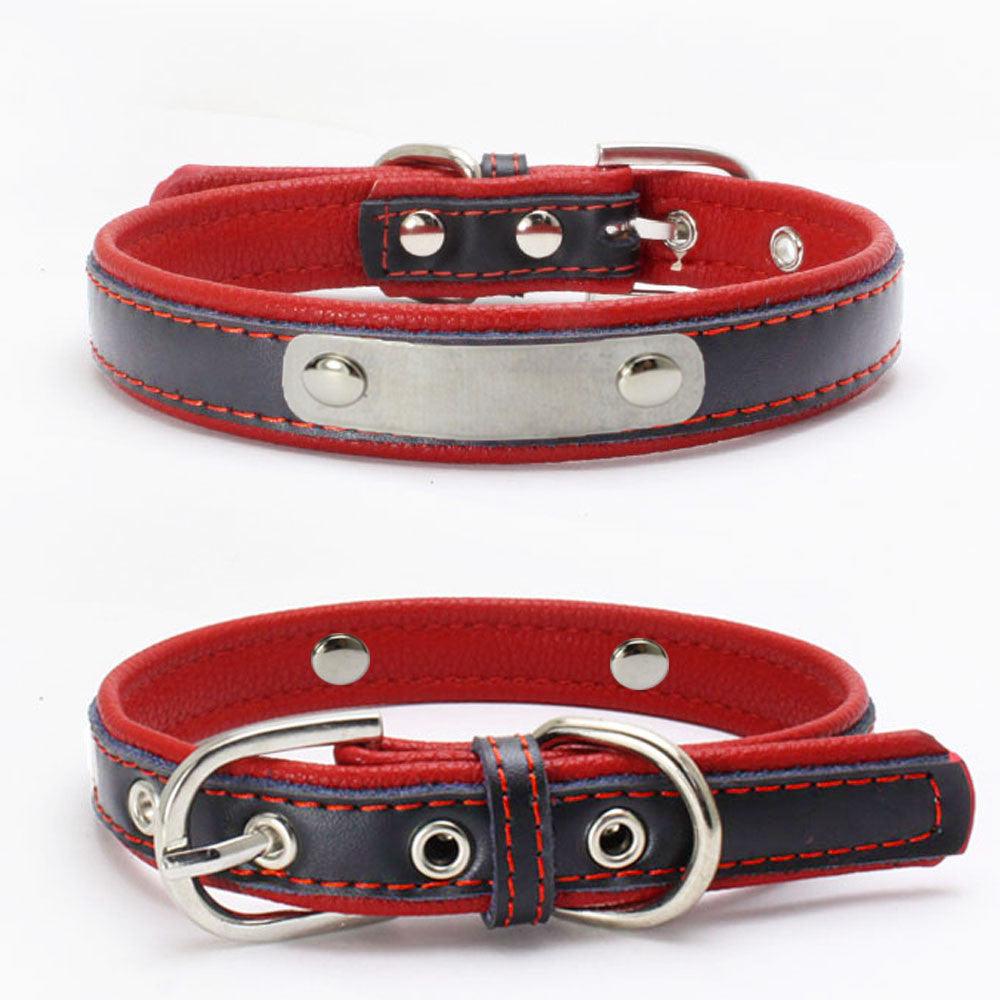 Double Leather Dog Collar With Backing - Weird Wembley's Leashes & Collars 