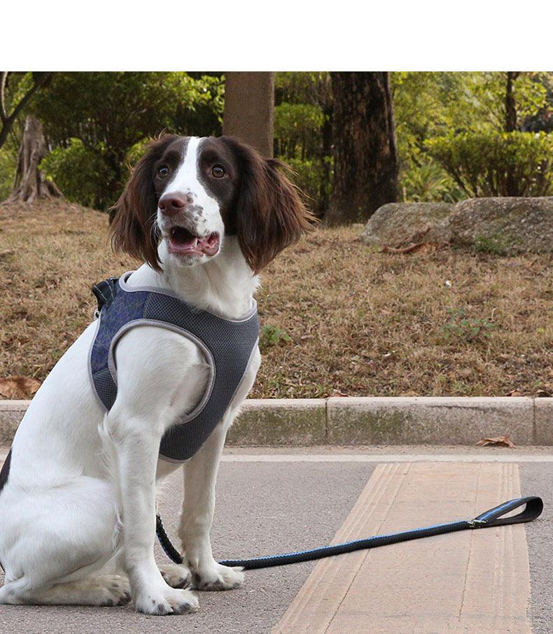 Dog walking Harness - Weird Wembley's Leashes & Collars 