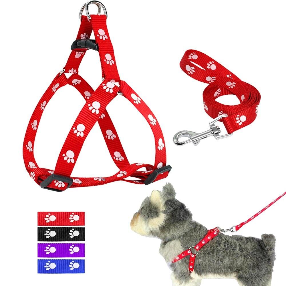 Printed dog leash - Weird Wembley's Leashes & Collars 