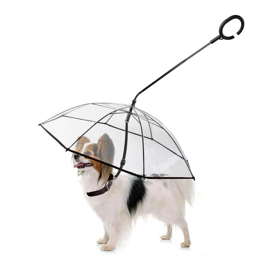 Dog Umbrella - Weird Wembley's Leashes & Collars 