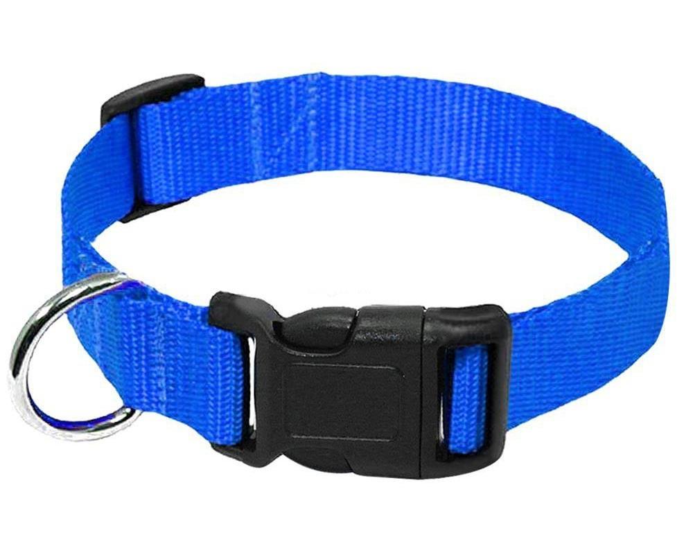 Durable Nylon Collar Dog Leash - Weird Wembley's Leashes & Collars 