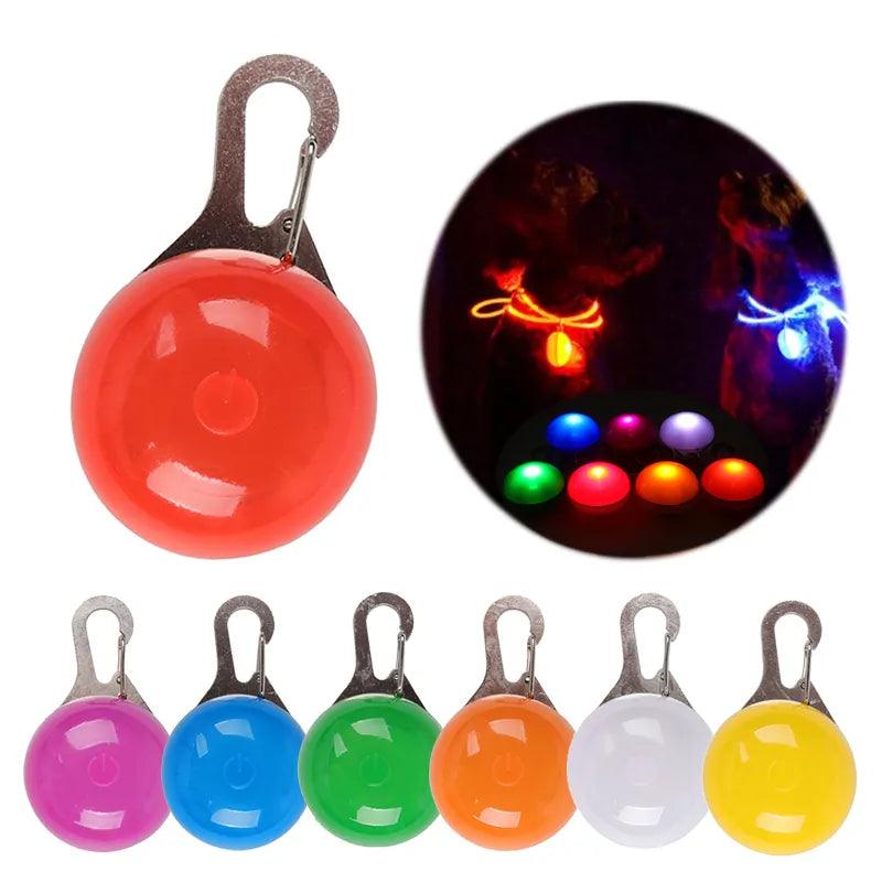 Night Safety LED Flashlight Pet tag - Weird Wembley's Leashes & Collars 