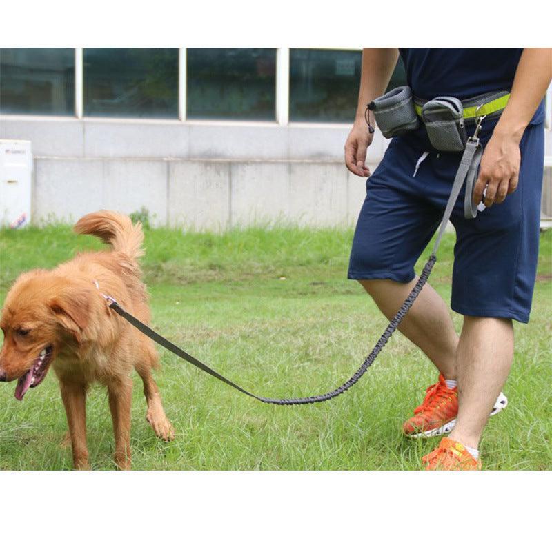 Adjustable Hands Free Dog Leash - Weird Wembley's Leashes & Collars 