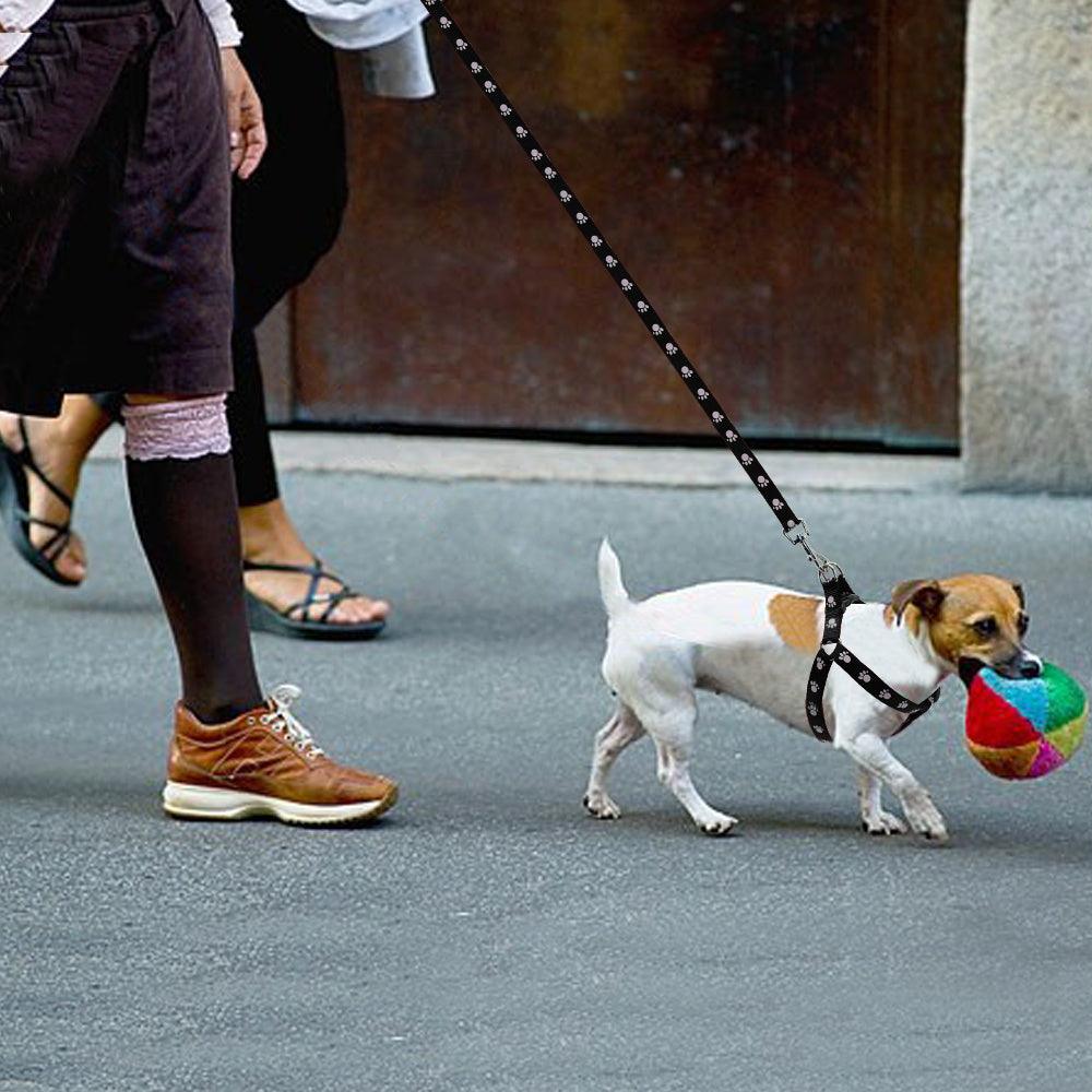 Printed dog leash - Weird Wembley's Leashes & Collars 