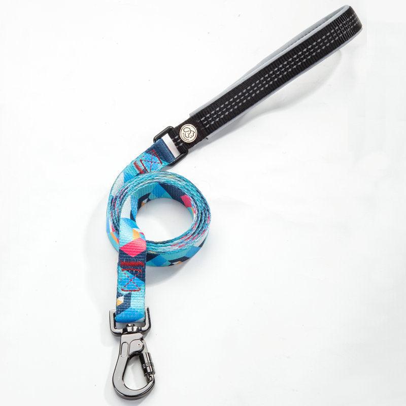 Pet supplies dog leash - Weird Wembley's Leashes & Collars 