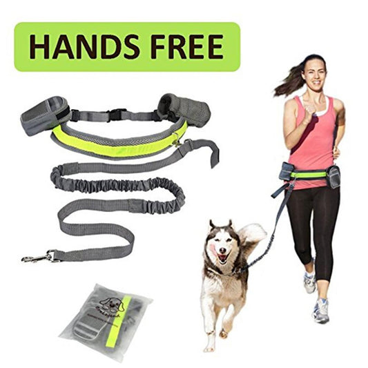 Adjustable Hands Free Dog Leash - Weird Wembley's Leashes & Collars 