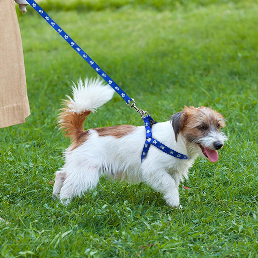 Printed dog leash - Weird Wembley's Leashes & Collars 