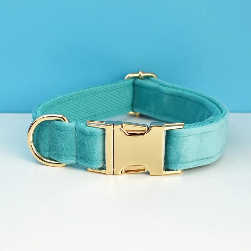 Luxury Dog Leash and Collar - Weird Wembley's Leashes & Collars 