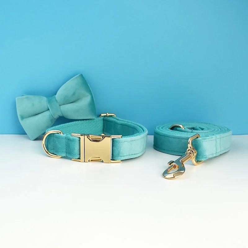 Luxury Dog Leash and Collar - Weird Wembley's Leashes & Collars 