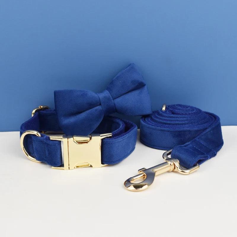 Luxury Dog Leash and Collar - Weird Wembley's Leashes & Collars 