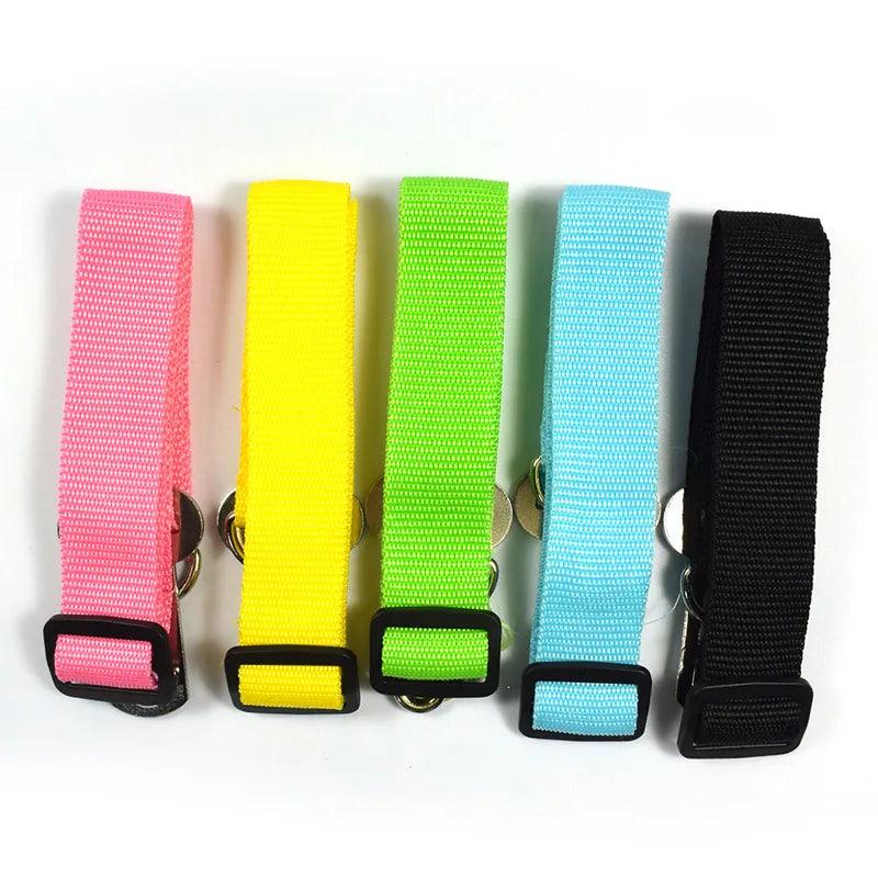 Car Dog Seat Belt - Weird Wembley's Leashes & Collars 