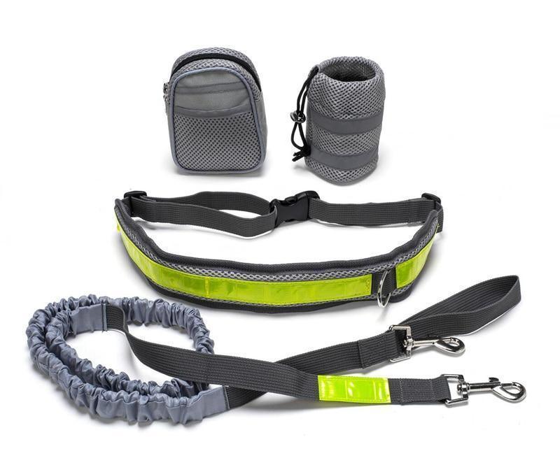 Adjustable Hands Free Dog Leash - Weird Wembley's Leashes & Collars 