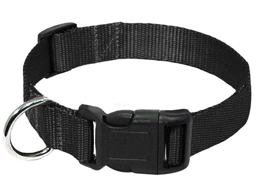 Durable Nylon Collar Dog Leash - Weird Wembley's Leashes & Collars 