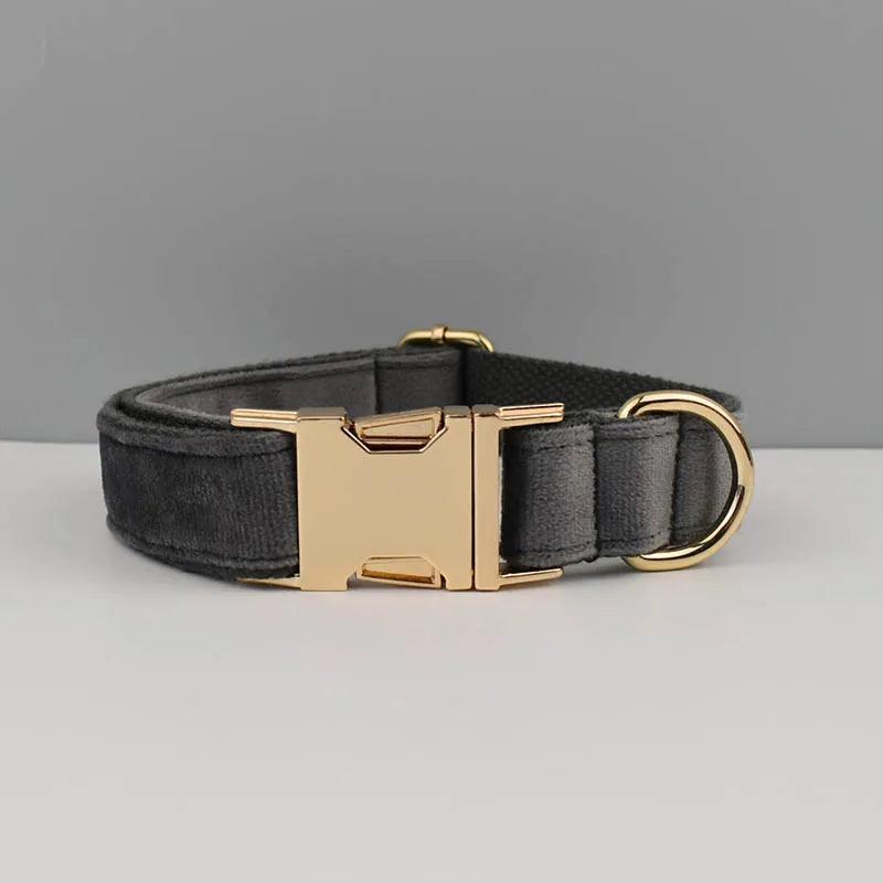 Luxury Dog Leash and Collar - Weird Wembley's Leashes & Collars 