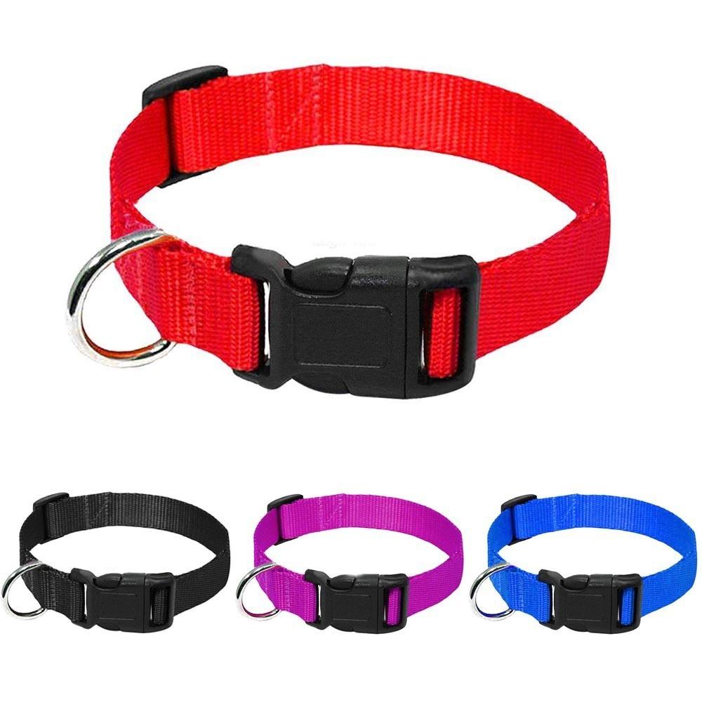 Durable Nylon Collar Dog Leash - Weird Wembley's Leashes & Collars 