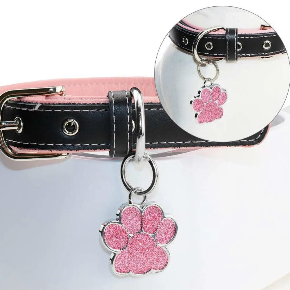 Personalized Pet ID Tags - Weird Wembley's Leashes & Collars 