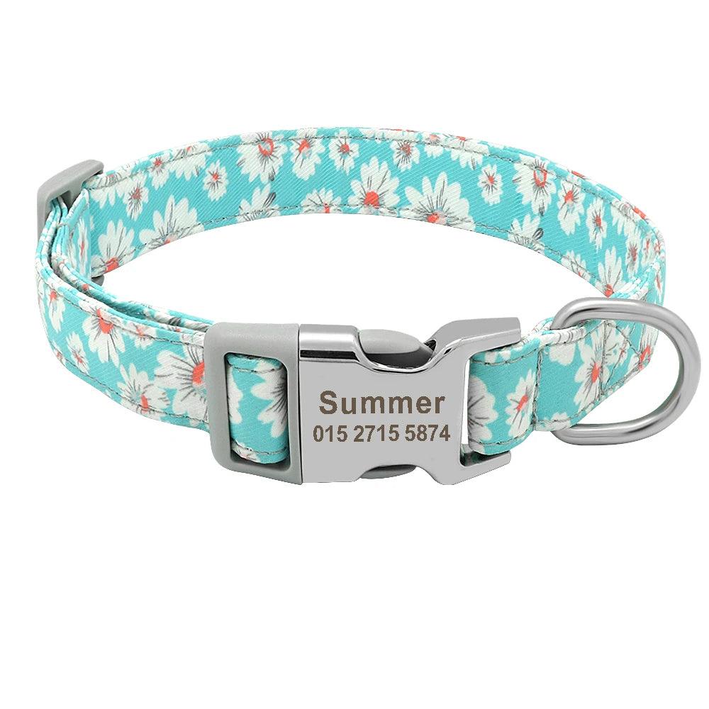 Custom Engraved Dog Collar - Weird Wembley's Leashes & Collars 