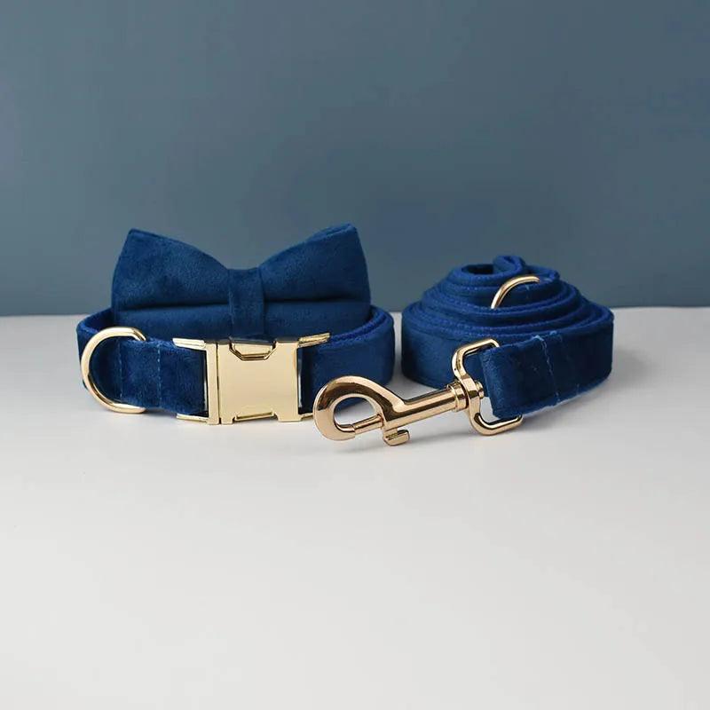 Luxury Dog Leash and Collar - Weird Wembley's Leashes & Collars 