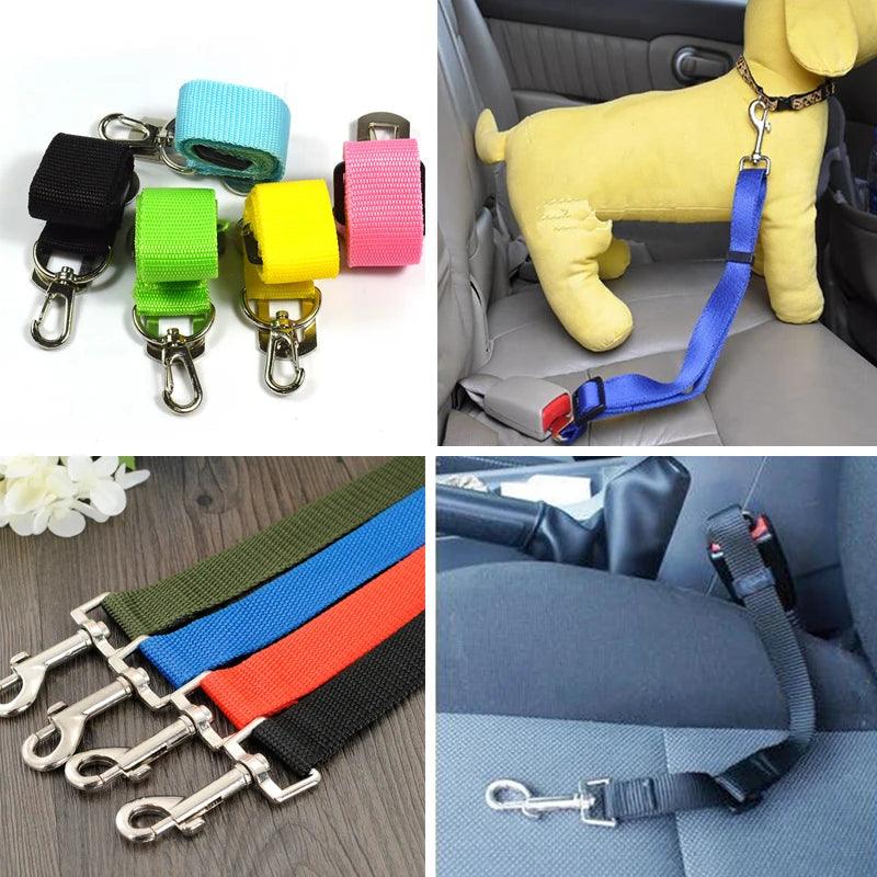 Car Dog Seat Belt - Weird Wembley's Leashes & Collars 