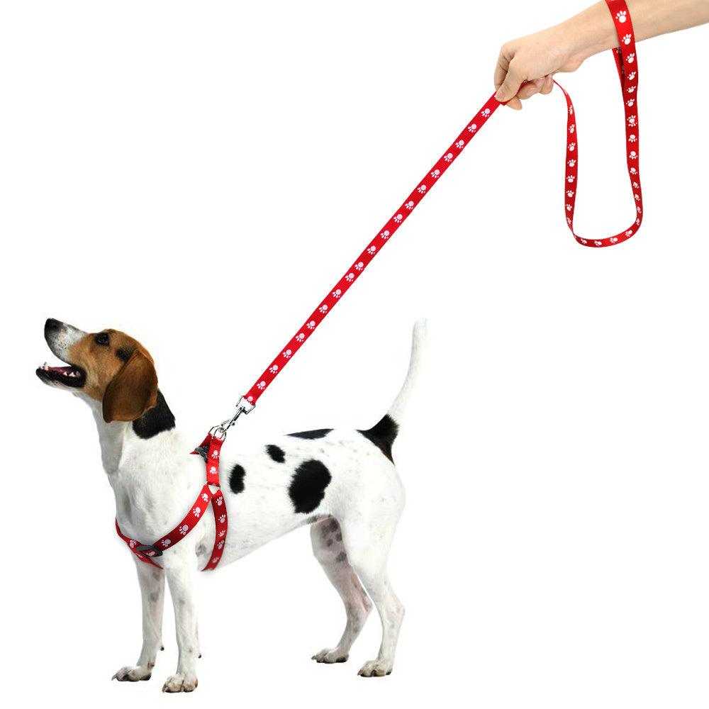 Printed dog leash - Weird Wembley's Leashes & Collars 