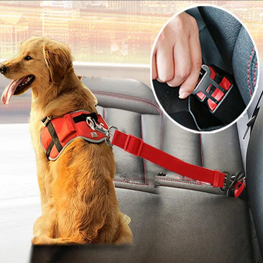 Car Dog Seat Belt - Weird Wembley's Leashes & Collars 