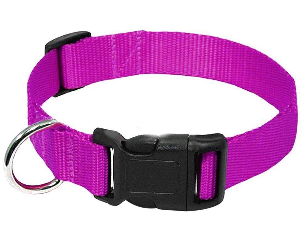 Durable Nylon Collar Dog Leash - Weird Wembley's Leashes & Collars 