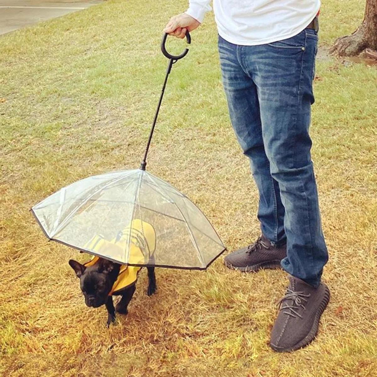 Dog Umbrella - Weird Wembley's Leashes & Collars 