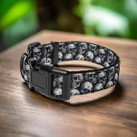 Dog Collar with Skulls Ships Free - Weird Wembley's Leashes & Collars 