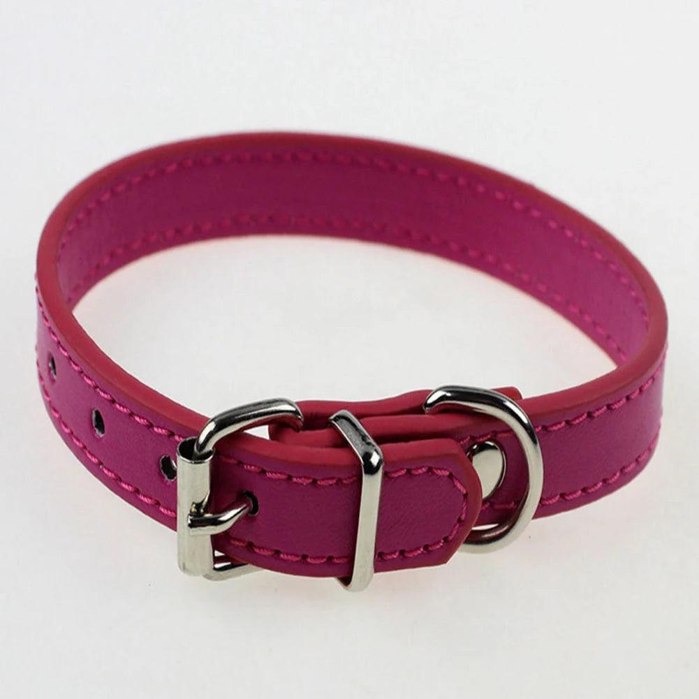 S/M Adjustable Faux Leather Dog Collar - Weird Wembley's Leashes & Collars 