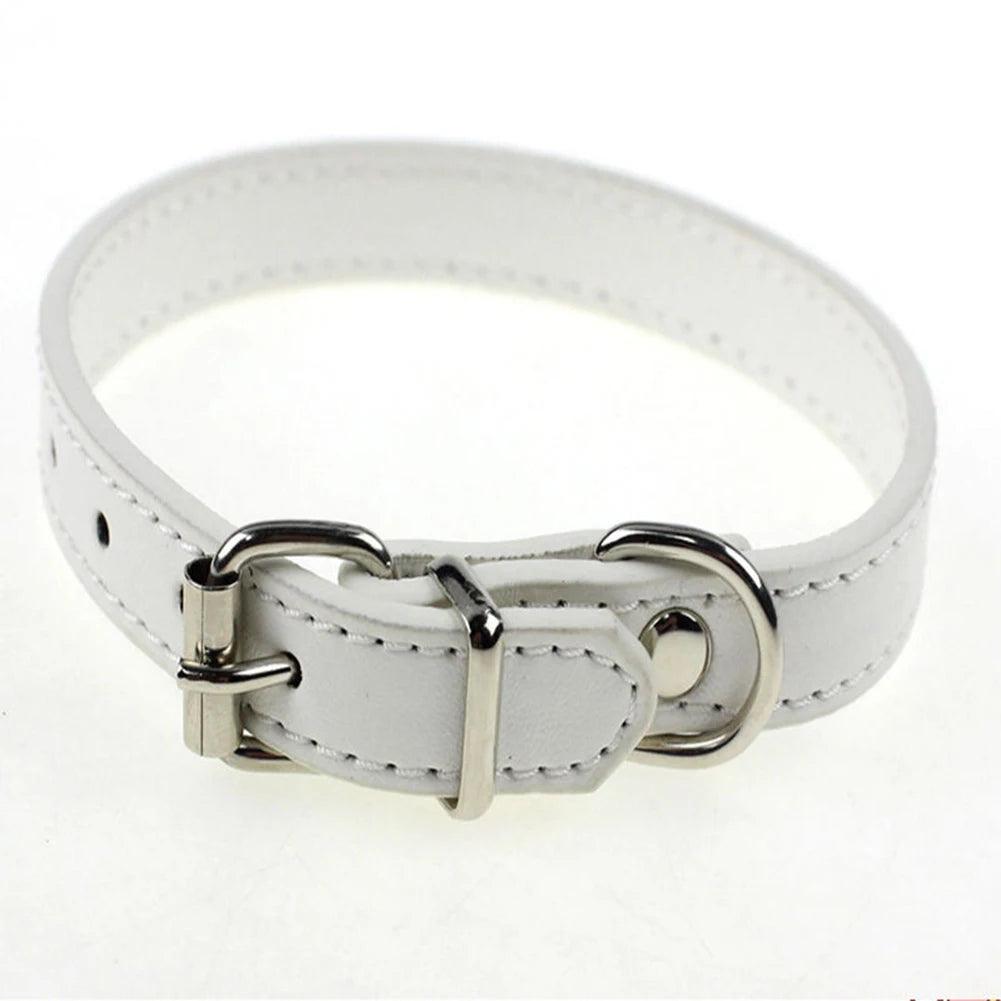 S/M Adjustable Faux Leather Dog Collar - Weird Wembley's Leashes & Collars 