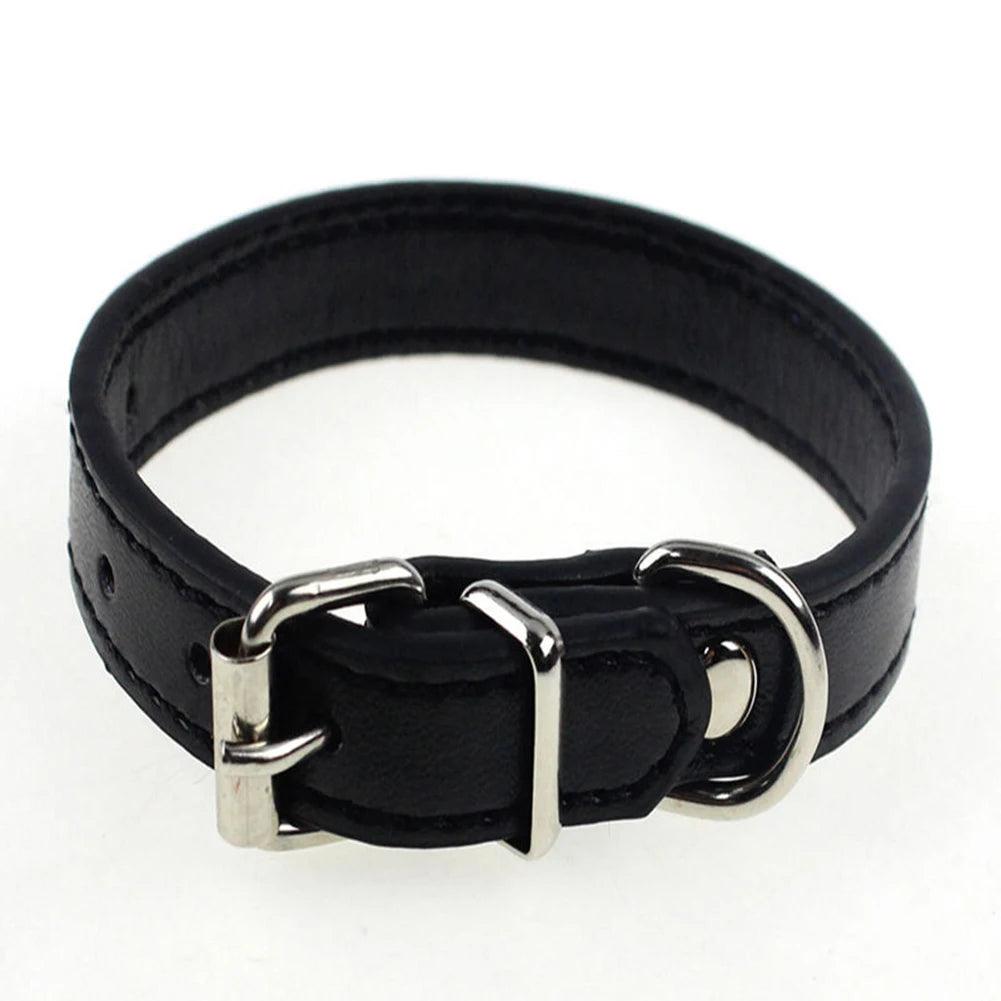 S/M Adjustable Faux Leather Dog Collar - Weird Wembley's Leashes & Collars 