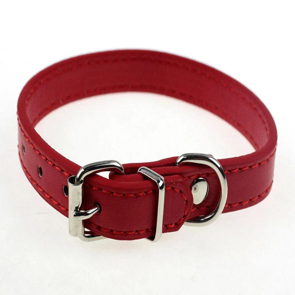 S/M Adjustable Faux Leather Dog Collar - Weird Wembley's Leashes & Collars 