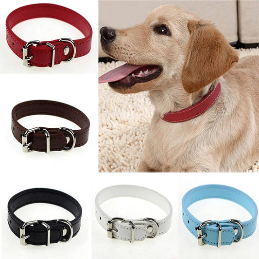 S/M Adjustable Faux Leather Dog Collar - Weird Wembley's Leashes & Collars 