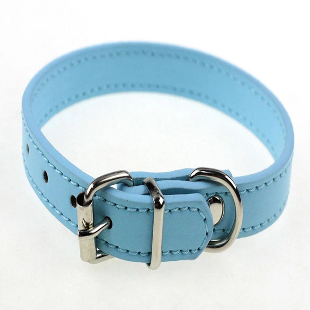 S/M Adjustable Faux Leather Dog Collar - Weird Wembley's Leashes & Collars 