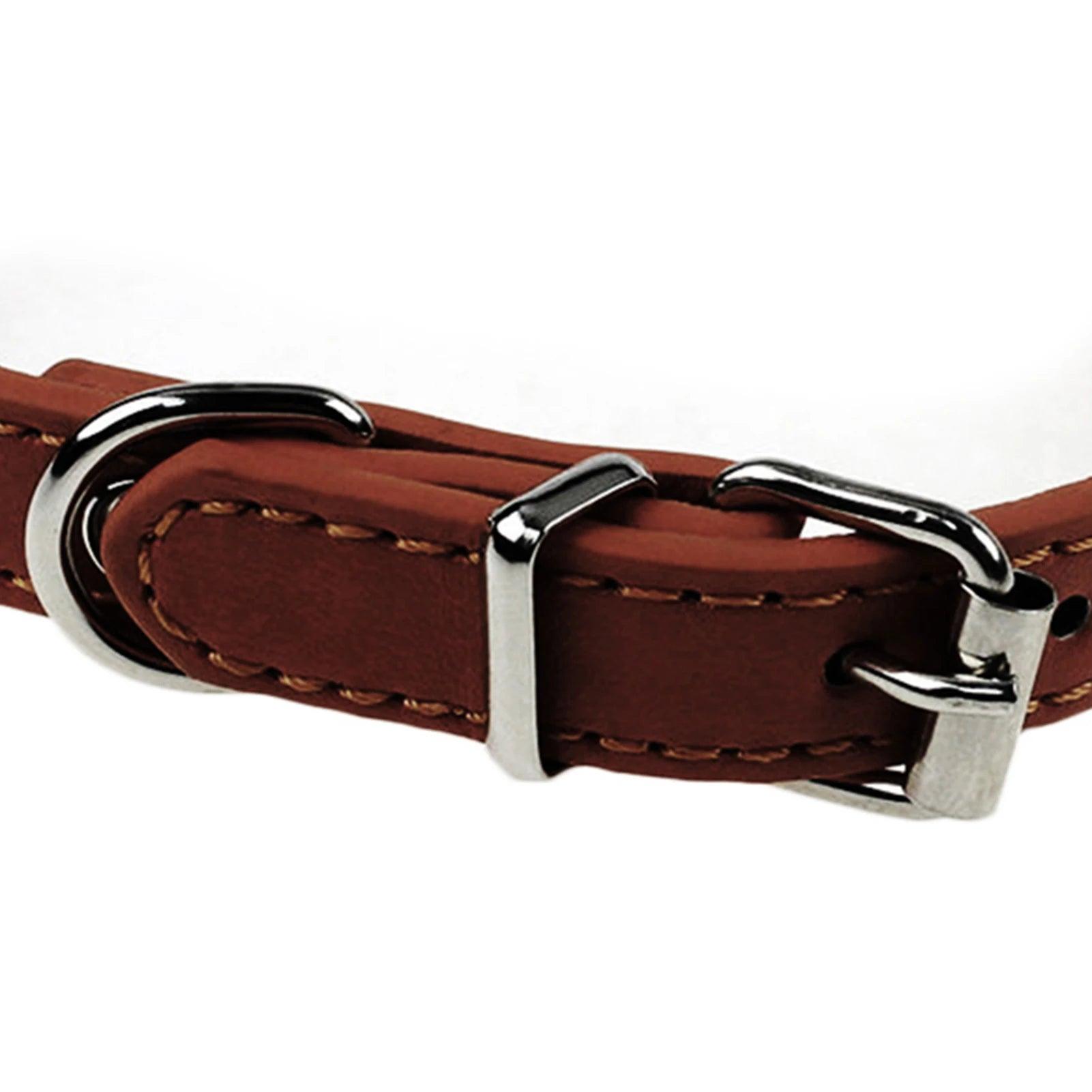 S/M Adjustable Faux Leather Dog Collar - Weird Wembley's Leashes & Collars 