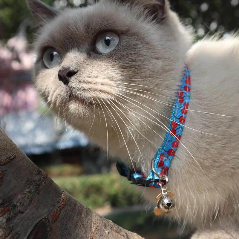 Cute Cat Collar - Weird Wembley's Leashes & Collars 