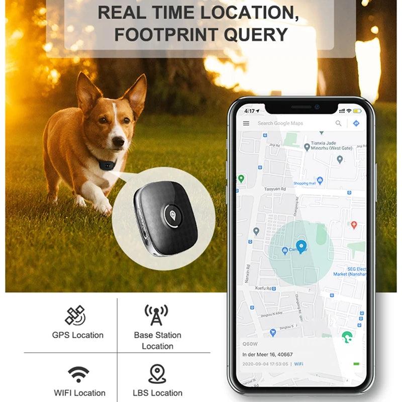 Hot 4G Dog GPS Tracker Waterproof - Weird Wembley's Leashes & Collars 