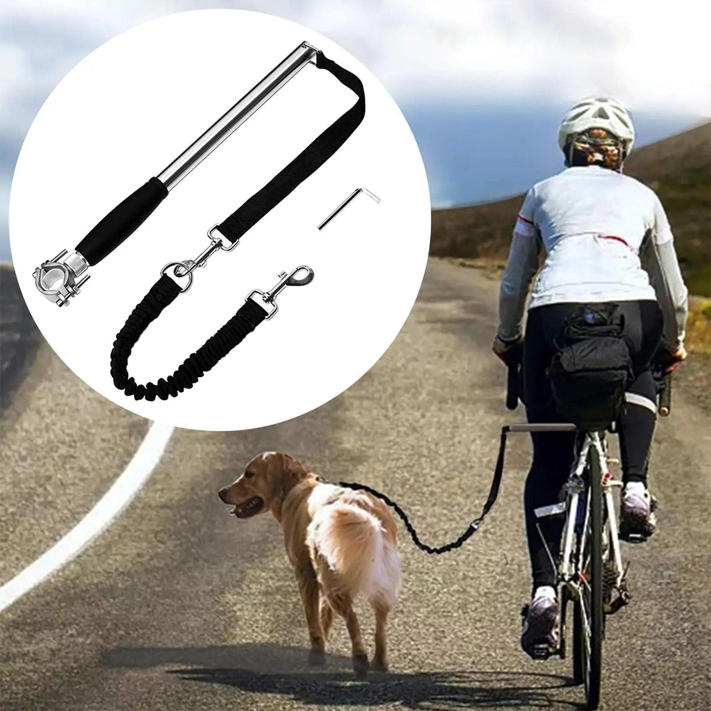 Retractable Bicycle Dog Leash Hand Free Dog Bike Leash for Outdoor Exercise - Weird Wembley's Leashes & Collars 