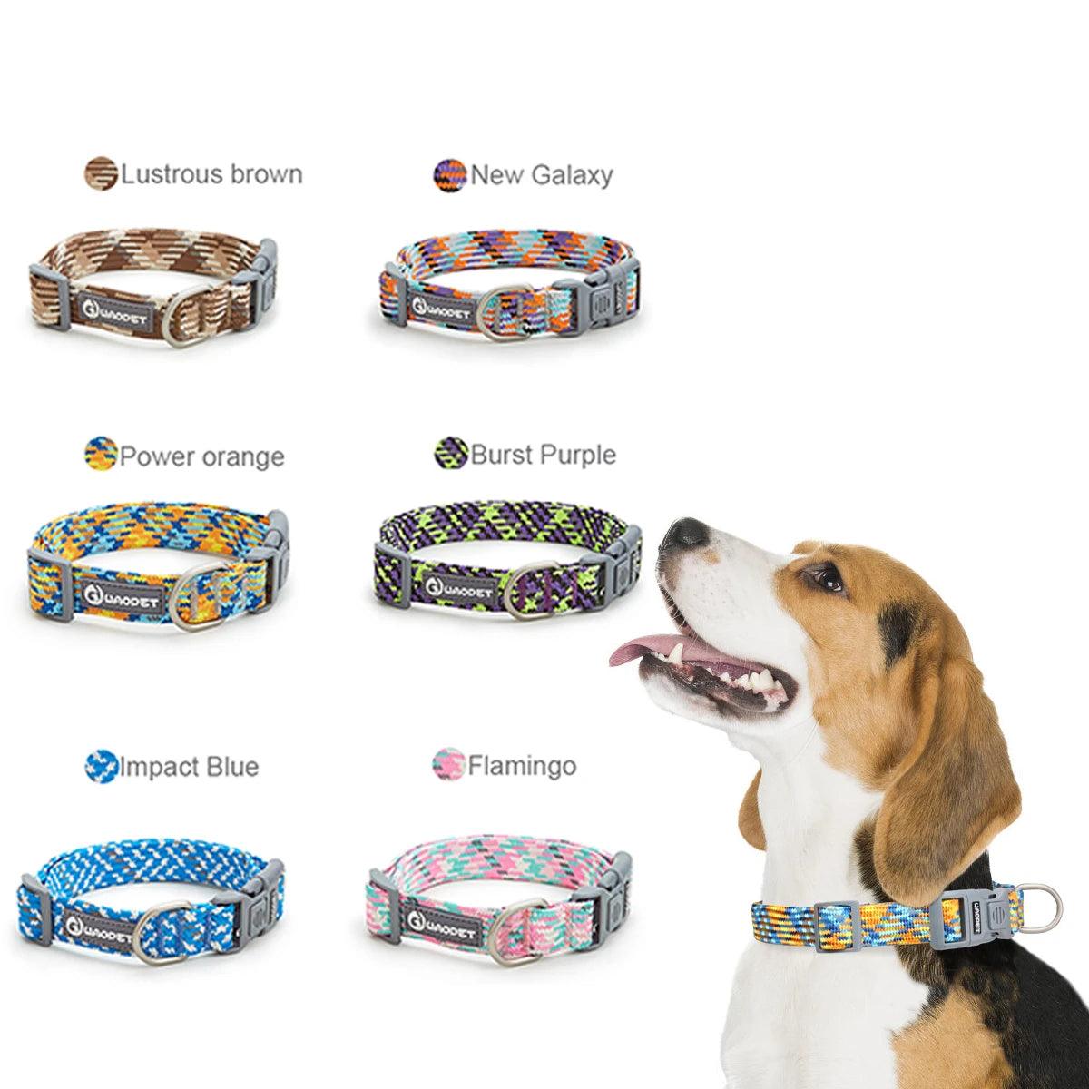 Reflective Collar For Dog Colorful Adjustable Collar - Weird Wembley's Leashes & Collars 