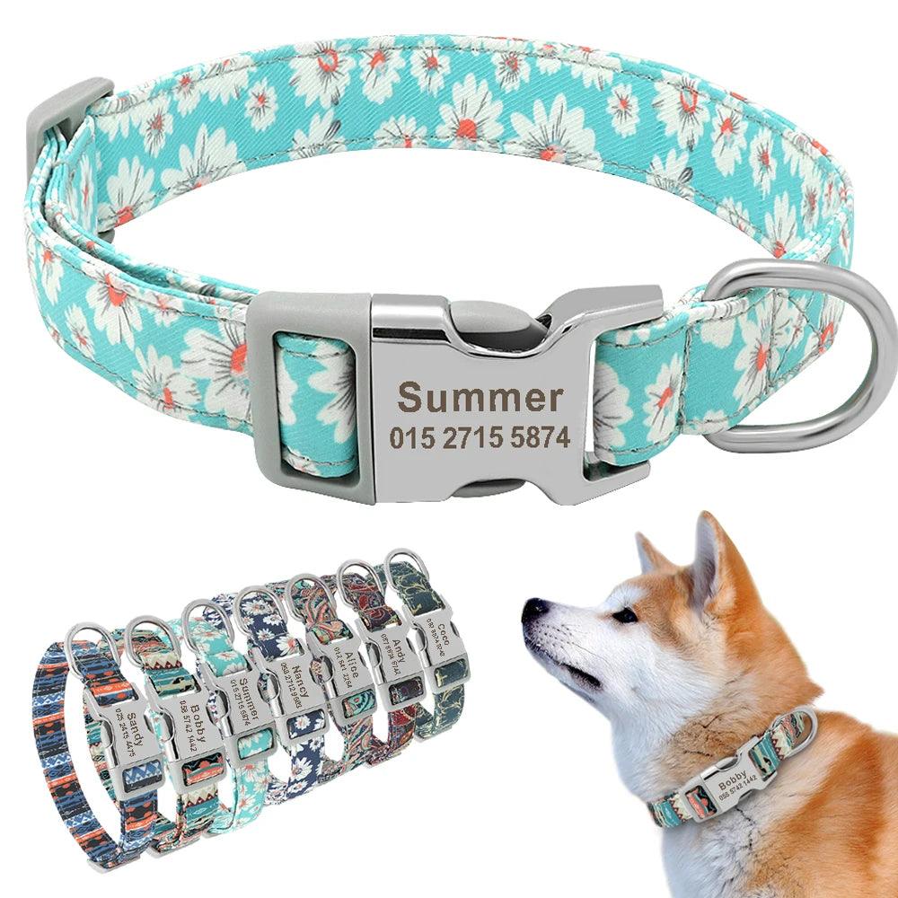 Custom Engraved Dog Collar - Weird Wembley's Leashes & Collars 