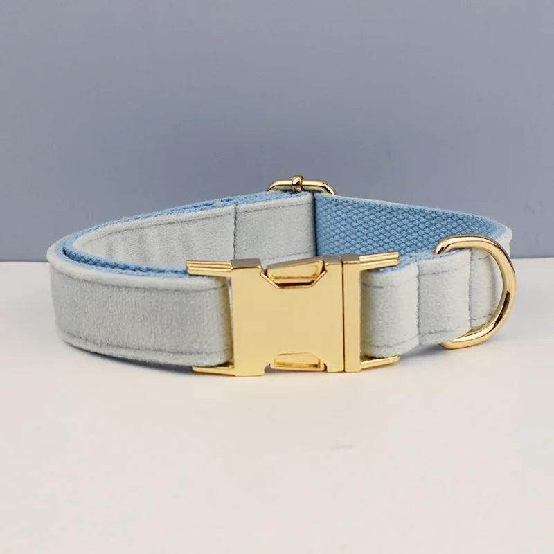 Luxury Dog Leash and Collar - Weird Wembley's Leashes & Collars 