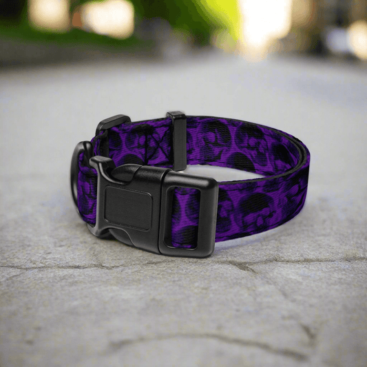 Stylish and Durable Purple Skull Pattern Dog Collar Ships Free - Weird Wembley's Leashes & Collars 