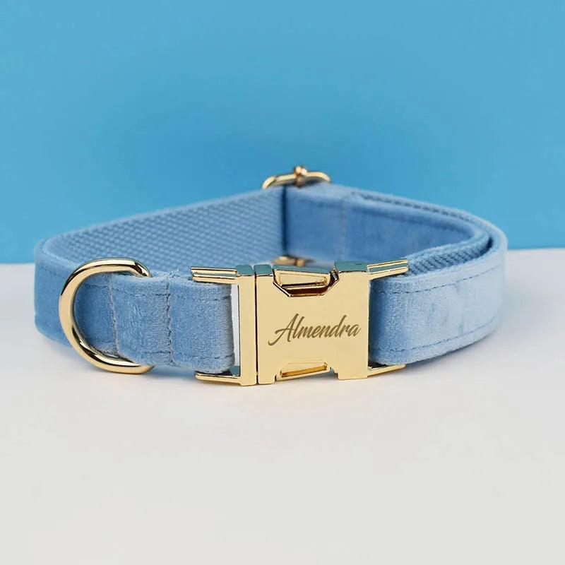 Luxury Dog Leash and Collar - Weird Wembley's Leashes & Collars 