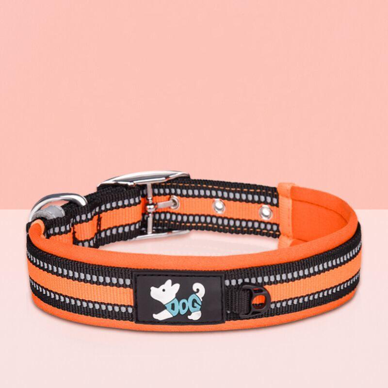 Pet Nylon Reflective Collar Leash Set - Weird Wembley's Leashes & Collars 